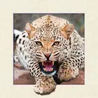 Tiger design 5d picture lenticular printing