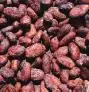 50,000 Ton Cocoa Beans