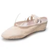 /product-detail/7000002-beige-free-sample-wholesale-affordable-cheap-soft-ballet-style-shoes-for-women-in-bag-62036076713.html
