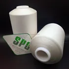 SPO brand wholesaler price Chinese silk raw mulberry silk spun silk yarn