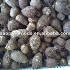 Taro Taro China Fresh Taro On Hot Sale