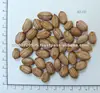 /product-detail/peanuts-runner-115722888.html