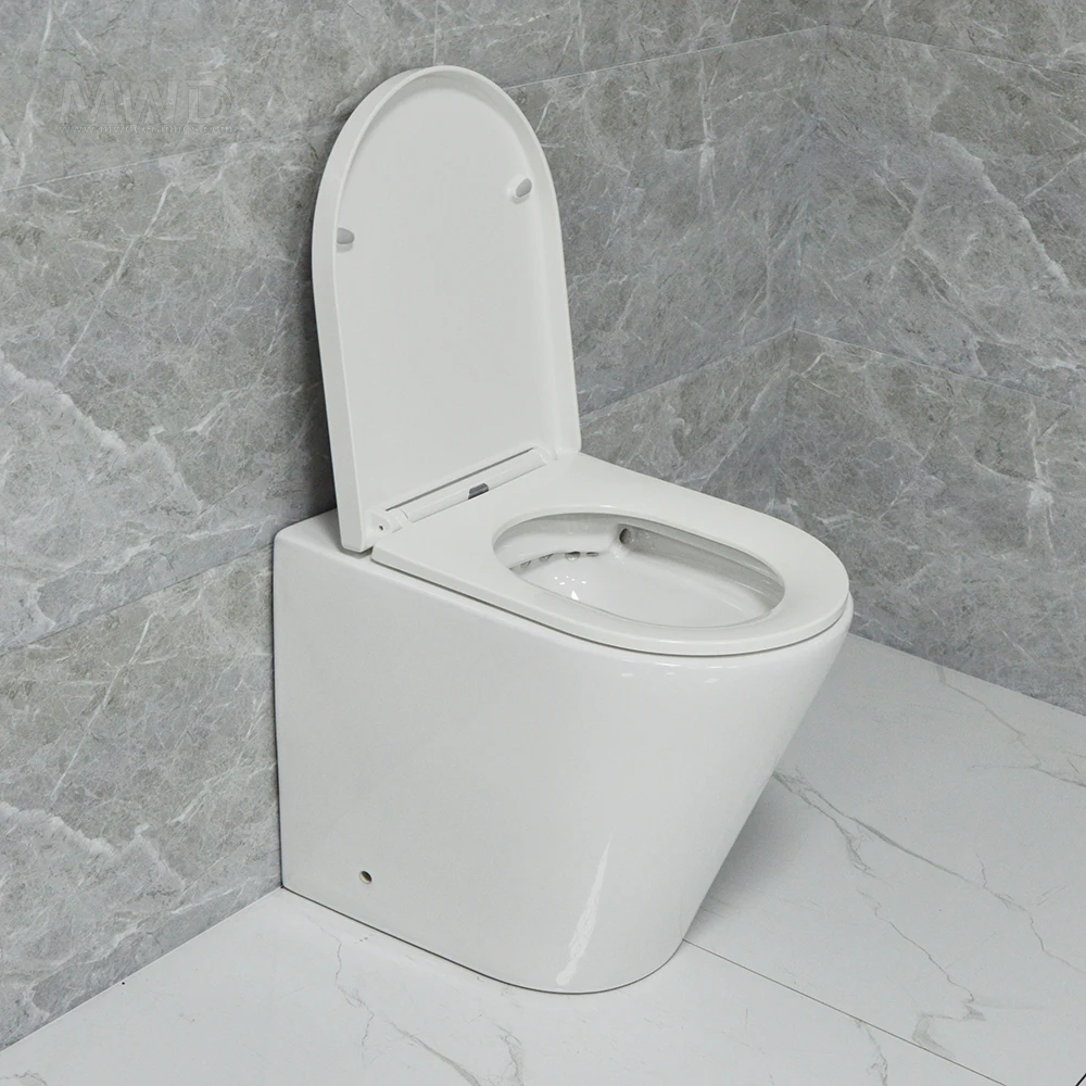 Watermark rimless back to wall floor mounted toilet  with close seat cover