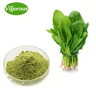 High quality Natural spinach extract powder
