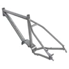/product-detail/titanium-e-bike-frame-62138539491.html