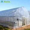 /product-detail/low-cost-plastic-greenhouse-grow-tent-for-agricultural-hydroponic-60624347805.html