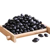 New crop types of edible black beans
