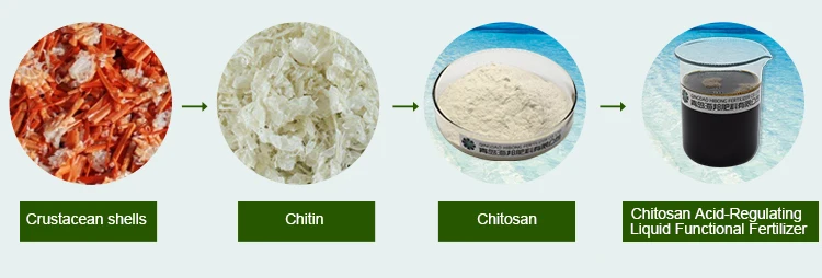 Good quality Acid regulating functional Chitosan oligosaccharide liquid fungicide fertilizer