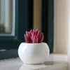 Hot Sale modern indoor mini white glazed ceramic flower pots wholesale