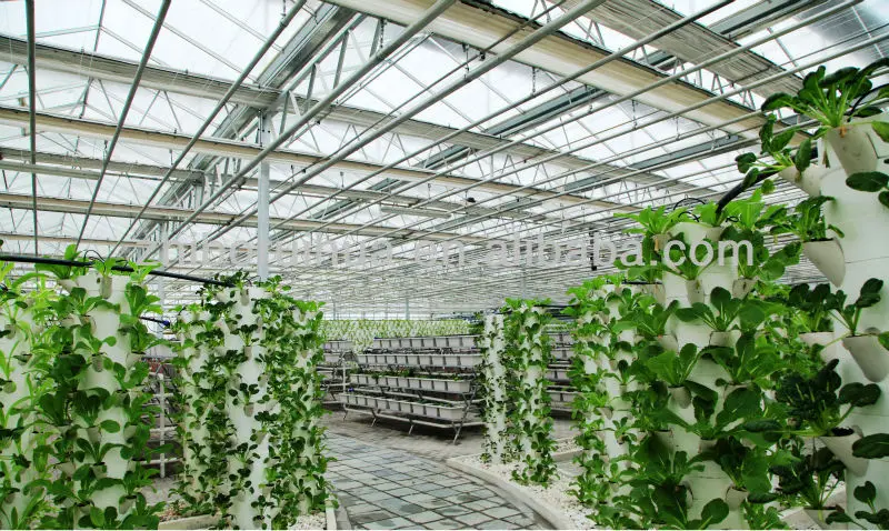 Buy Greenhouse Glass Online Buy Greenhouse Glass Online