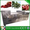 /product-detail/commercial-use-plum-pitting-machine-plum-pit-remove-machine-olive-pit-removing-machine-60162804056.html