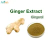 /product-detail/factory-supply-best-ginger-extract-powder-water-soluble--60356681831.html