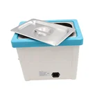 Hot Sale Professional Mini Jewelry Cleaner Ultrasonic With Filter System