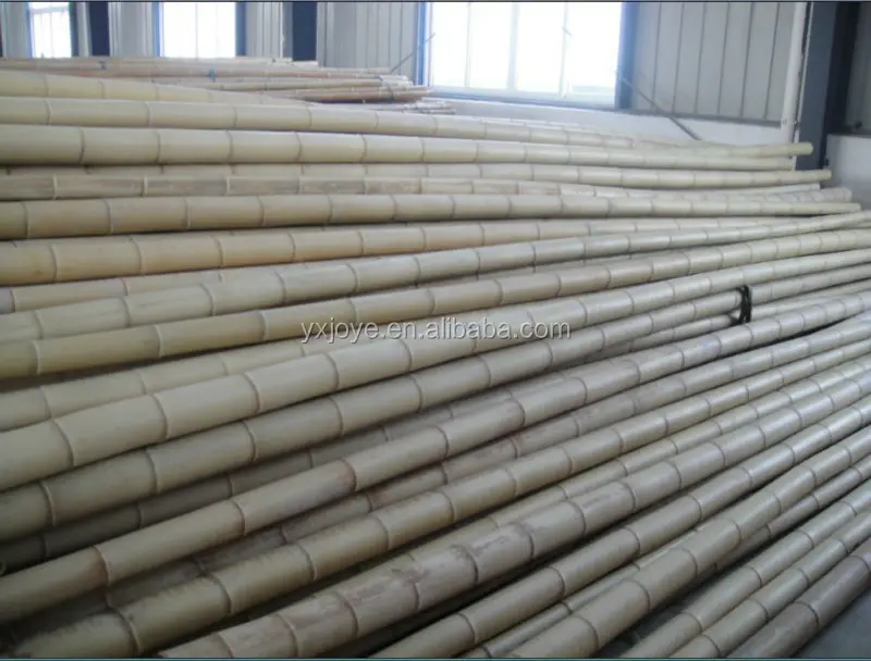 BAMBOO POLE 5.jpg