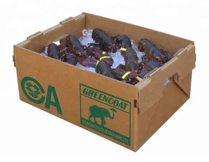 strong waterproof shrimp packaging waxed frozen food carton box