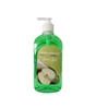 /product-detail/oem-eco-friendly-antibacterial-bulk-hand-soap-liquid-with-pump-60734005968.html