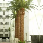 For Landscaping Artificial Tissue Culture Date Palm Tree Fiber Grass Palm Tree