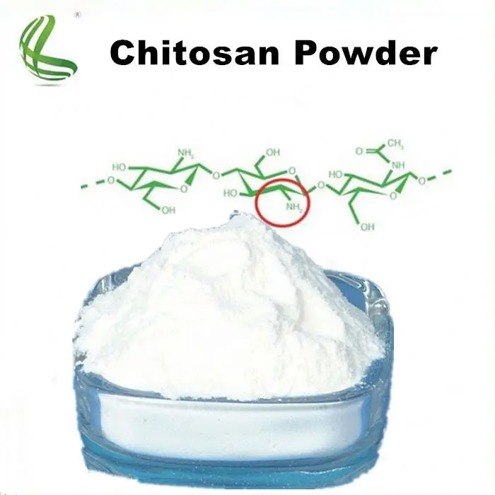 Top Quality Food Grade Chitosan Powder For Preservative