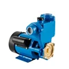 /product-detail/ps-self-priming-peripheral-pump-with-pressure-tank-1hp-bearing-water-pump-specifications-60802042550.html