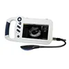 /product-detail/l80-cheap-portable-scanner-linear-curve-vet-ultrasound-60597542995.html