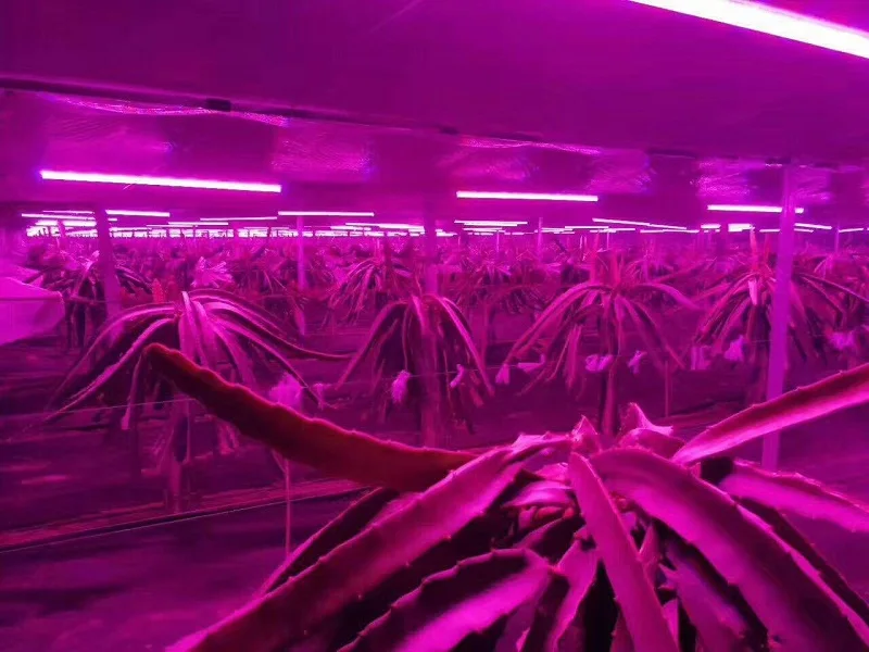 mmexport1507603502080