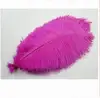 ostrich and grizzly rooster feathers ostrich Feathers