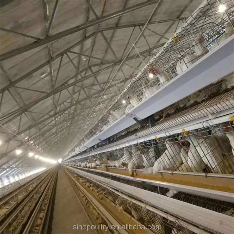 H type chicken cage for poultry farm cages for sale