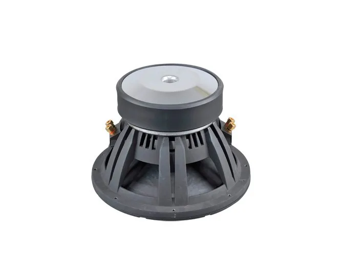 high quality 10 inch car subwoofer.jpg