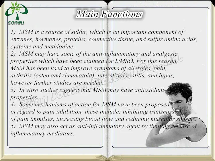 msm powder methylsulfonylmethane