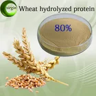 New product food grade Wheat hydrolyzed protein 60%-80%