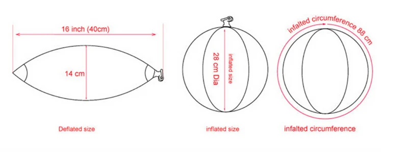 size of beach ball.jpg