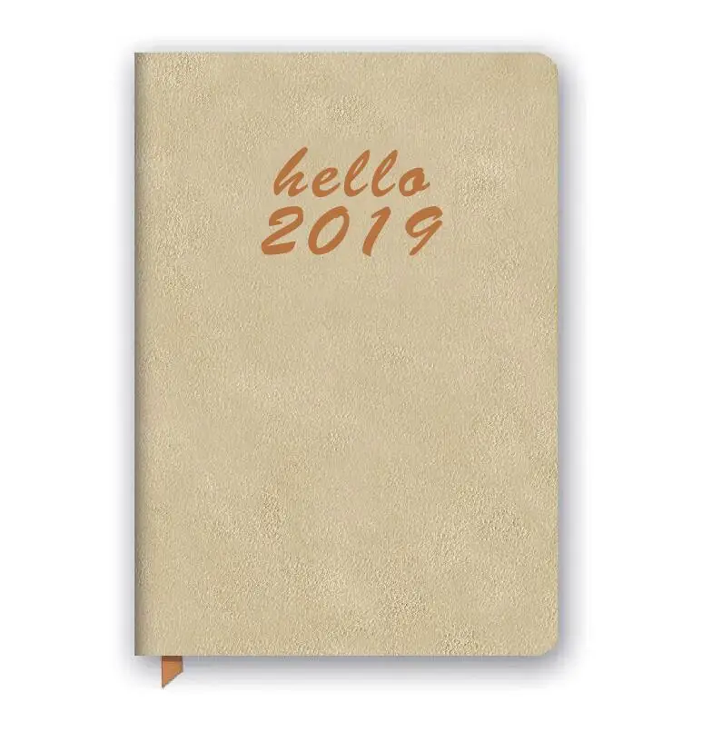 2019 diary planner.jpg