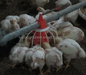 Automatic feeder pan system for chicken broiler