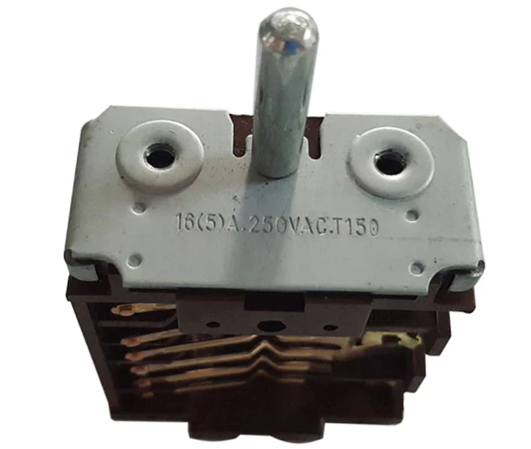 Rotary switch