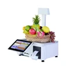 Plug and play T10 A new generation of All in one 10 inch capacitive touch screen cash register scale