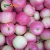 China Fresh Pink Gala Apples With Lower Price