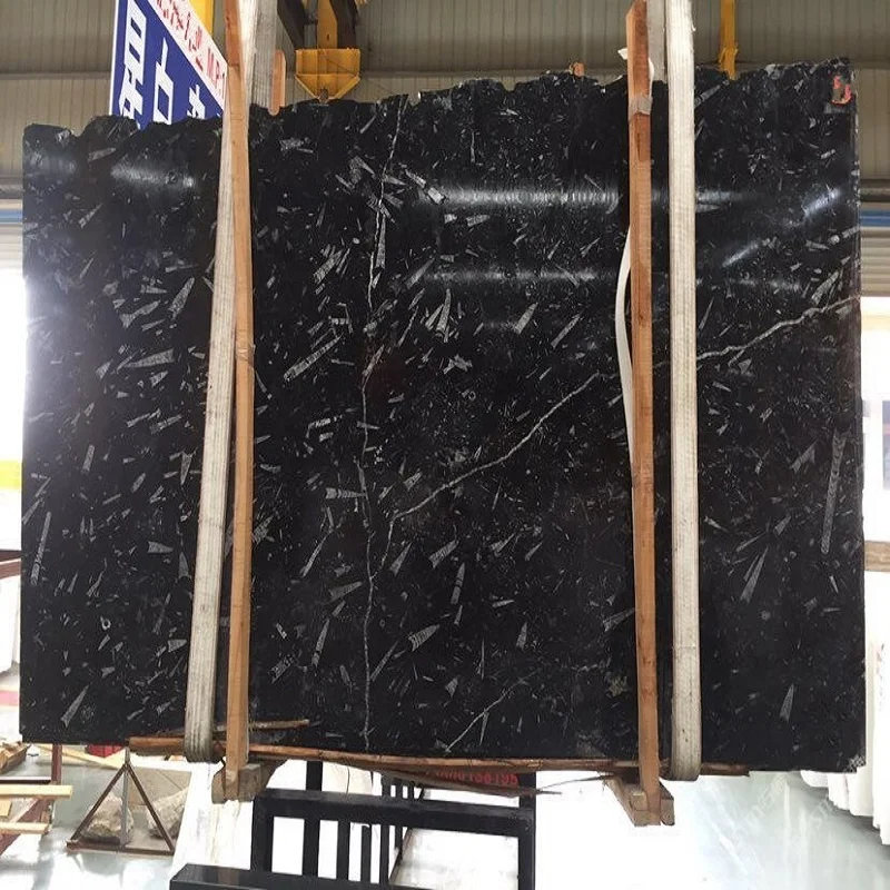 China Fossil Stone Slabs Wholesale Alibaba