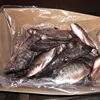 /product-detail/fresh-frozen-black-tilapia-fish-best-quality-to-african-countries-wholesale-price-60860672090.html