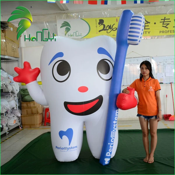 inflatable tooth model (2)