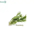 Farwell Best Rosemary Oil in Available