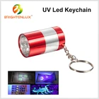 Factory Wholesale Aluminum Cheap Metal Stains Mini Small Pocket 6 Led Black Light Uv Led Keychain Pet Stain Detection