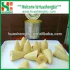 /product-detail/wholesale-canned-bamboo-shoots-whole-760537150.html