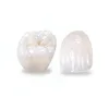 Denture material dental implant zirconia ceramics disc/block with Wieland CAD/CAM system