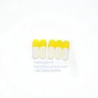 medicinal capsule food level gelatin empty capsule