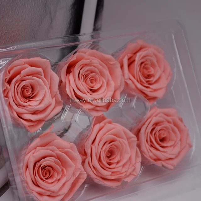 long life rose flowers christmas gift stabilized preserved rose