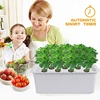 Smart Automatic intelligent Outdoor Garden hydroponics system vertical cabinet Plant box Grow System