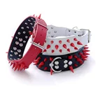 custom outdoor suit stylish dog pet trainer collar