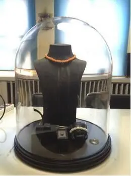 large-display-glass-cloche-with-wood-base-diameter-50cm-height-60cm.jpg
