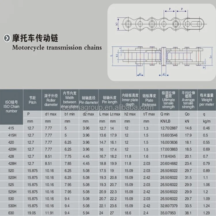 motorcycle chain (1)