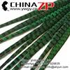ZPDECOR Factory Wholesale High Quality Directly Dyed Peacock Green Ringneck Pheasant Tail Feathers for Sale